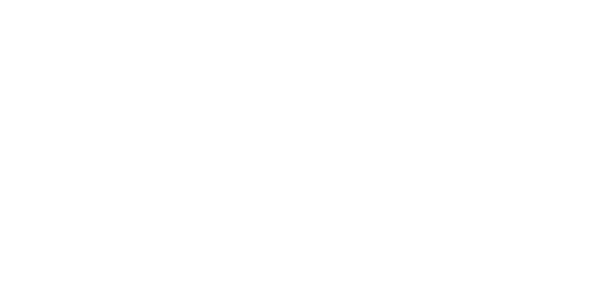 STM Group